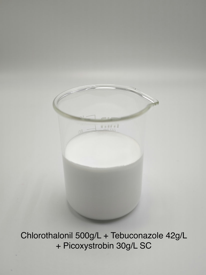 Chlorothalonil 500g/L + Tebuconazole 42g/L + Picoxystrobin 30g/L SC